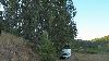 Cliquez ici pour voir l'image (Dscn9521.jpg)
