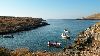Cliquez ici pour voir l'image (Dscn9695.jpg)
