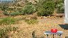 Cliquez ici pour voir l'image (Dscn9712.jpg)