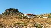 Cliquez ici pour voir l'image (Dscn9715.jpg)