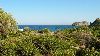 Cliquez ici pour voir l'image (Dscn9750.jpg)