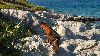 Cliquez ici pour voir l'image (Dscn9767.jpg)