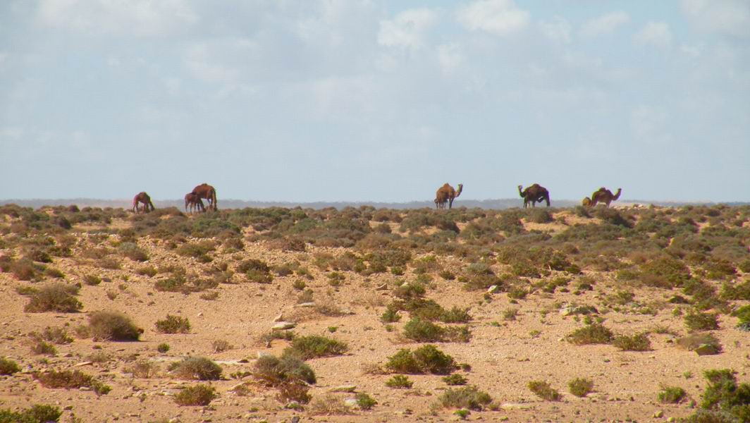 060Dscn0126