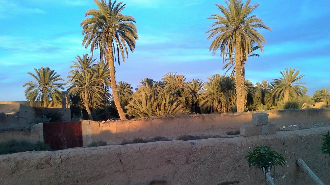 080Dscn0146a