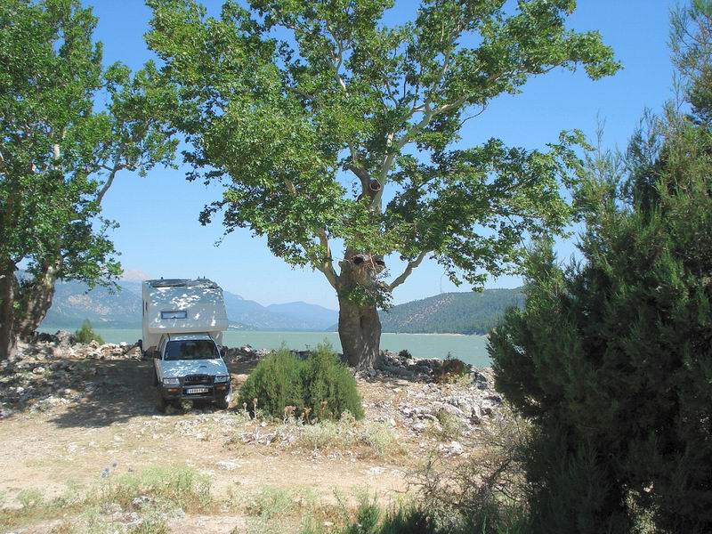 turq08068